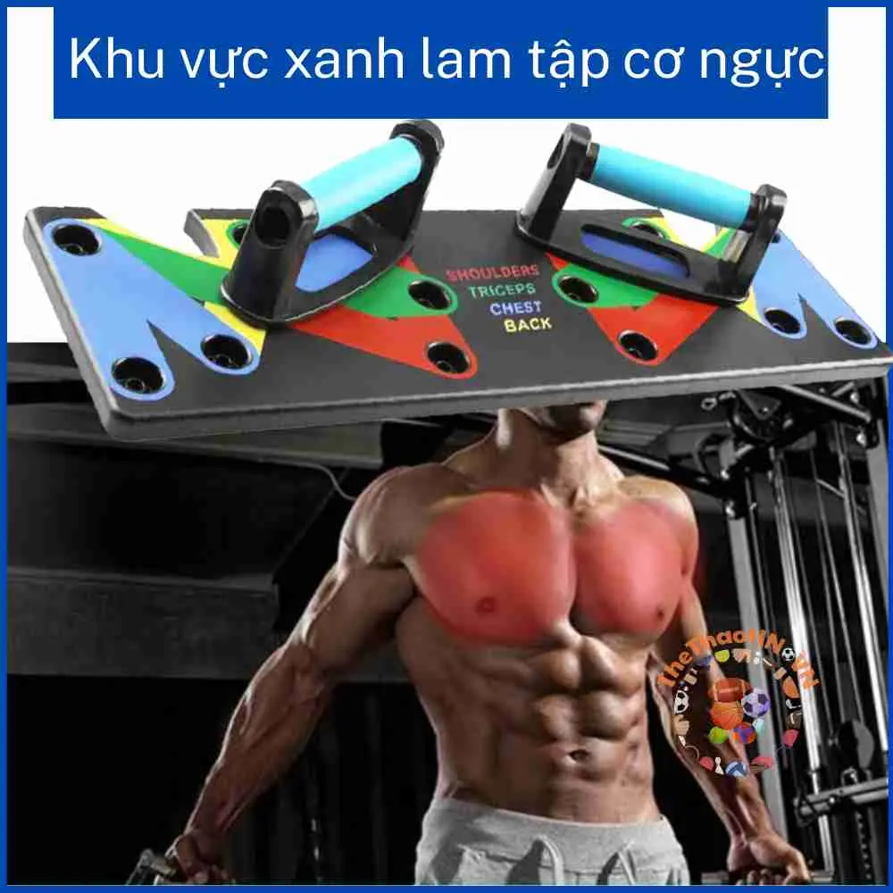 23 bàn chống đẩy (5).jfif.webp