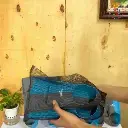 153 chân vịt (3).webp