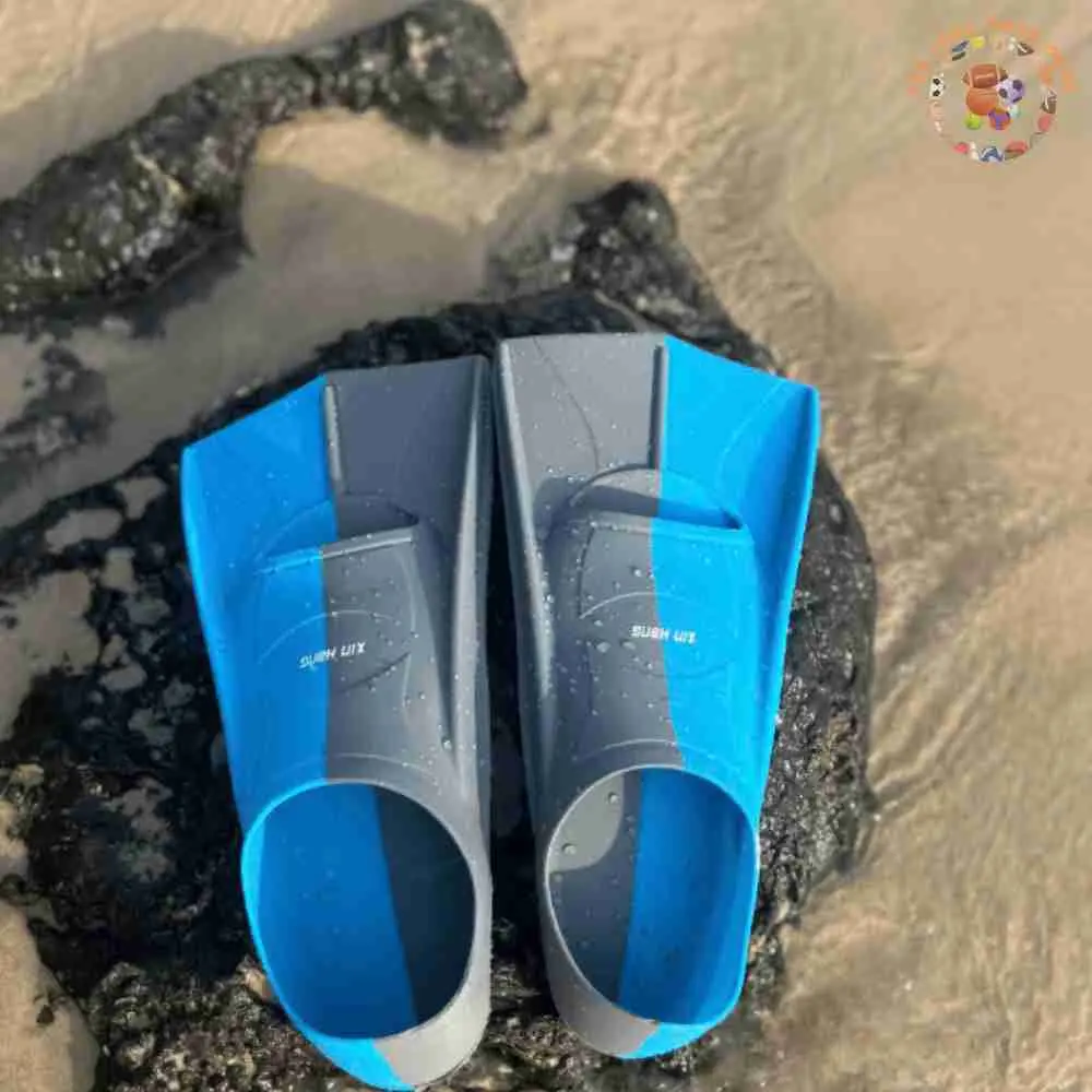 153 chân vịt (8).webp