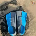 153 chân vịt (8).webp