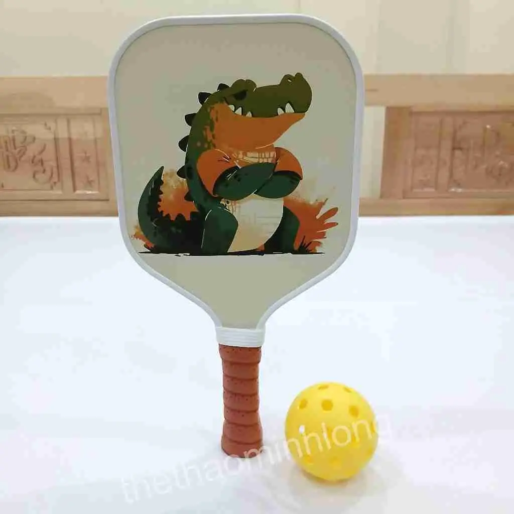 2006 vợt pickleball TE - Vợt Pickleball dành cho trẻ01.jfif (9).webp