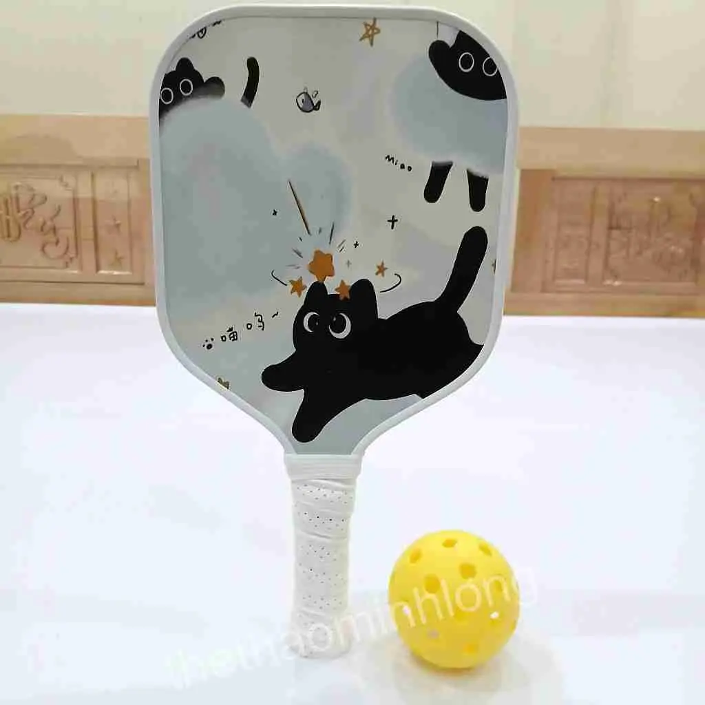 2006 vợt pickleball TE - Vợt Pickleball dành cho trẻ01.jfif (14).webp