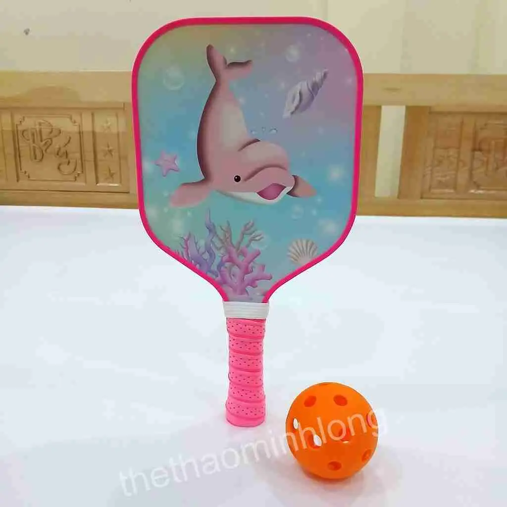 2006 vợt pickleball TE - Vợt Pickleball dành cho trẻ01.jfif (5).webp