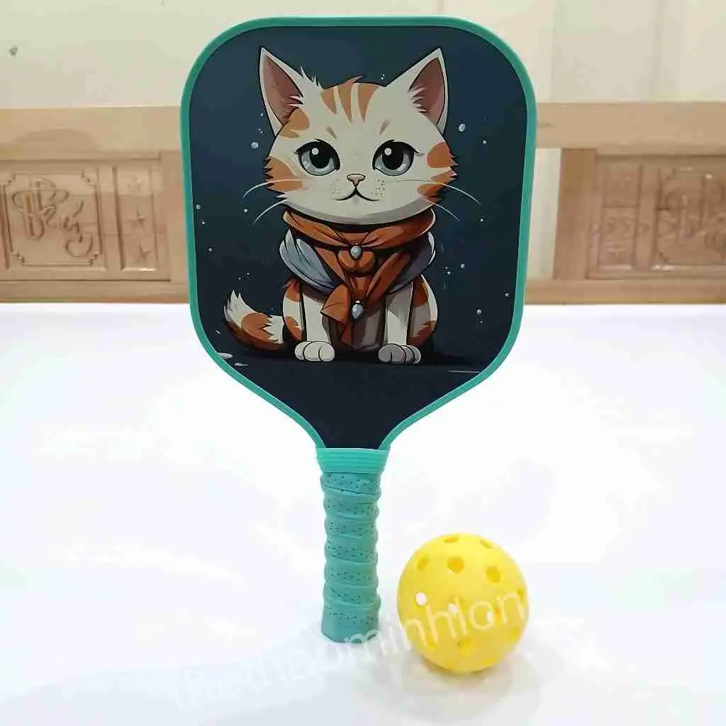 2006 vợt pickleball TE - Vợt Pickleball dành cho trẻ01.jfif (13).webp