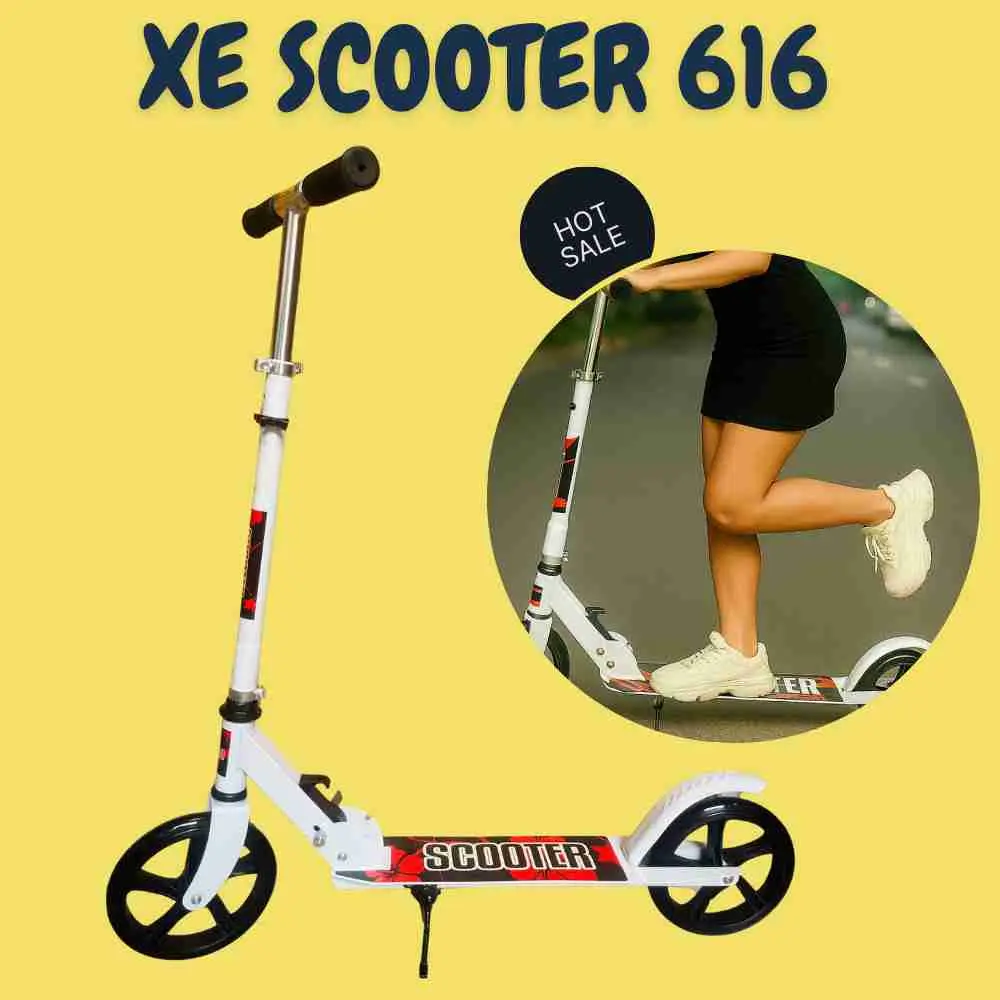 1000 xe scooter 616 (5).1.webp
