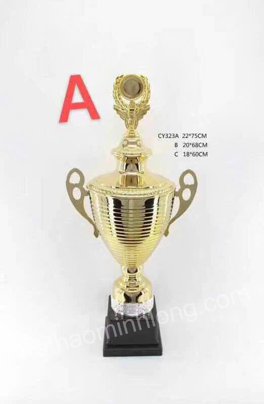 cúp CY323A - mã ML0255 