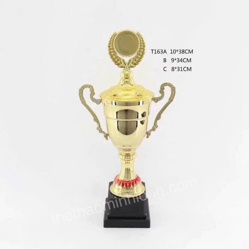 cúp T163A - mã ML0308 