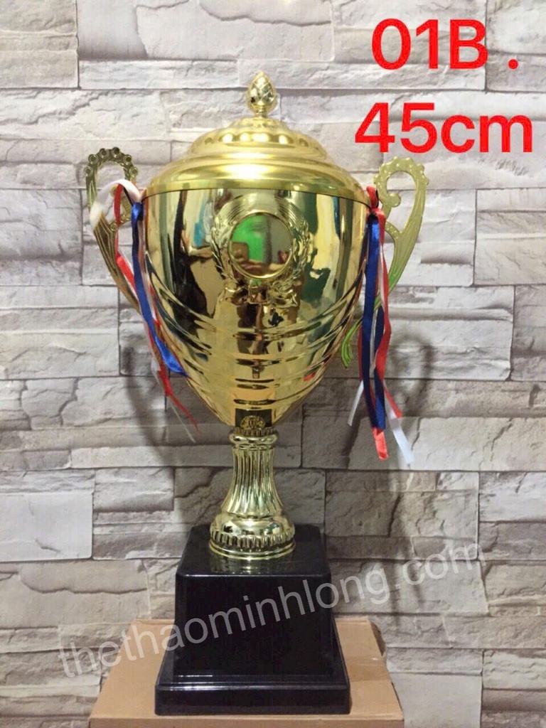 Cúp 01B - mã ML0332 