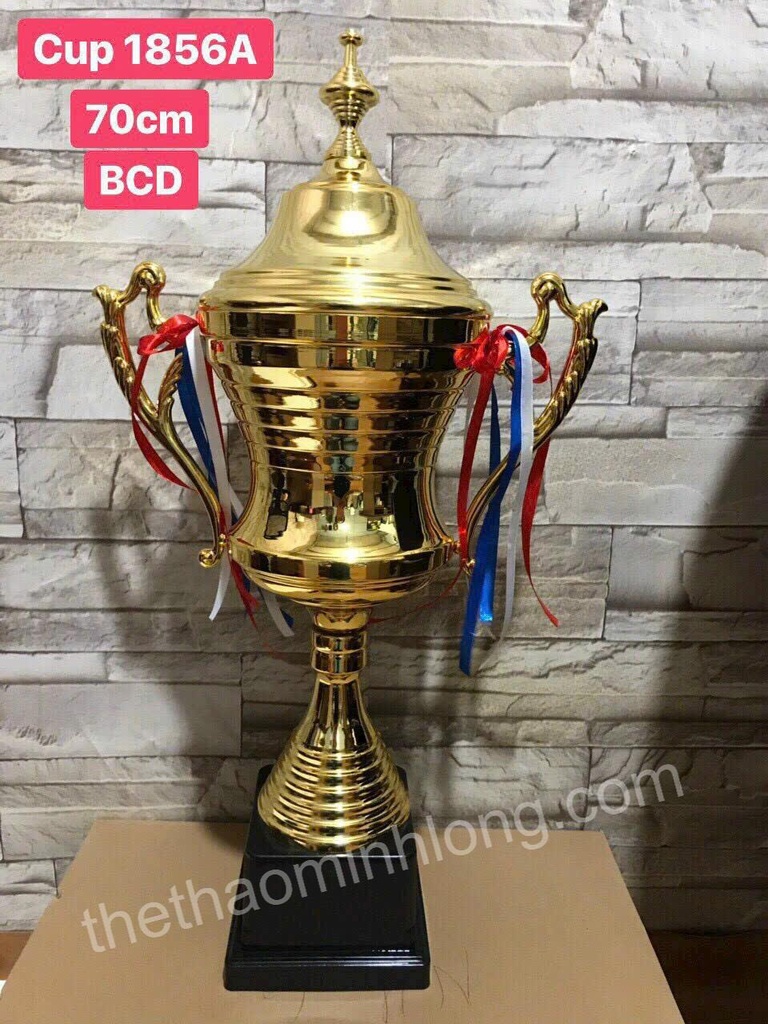 Cúp 1856A - mã ML0378 