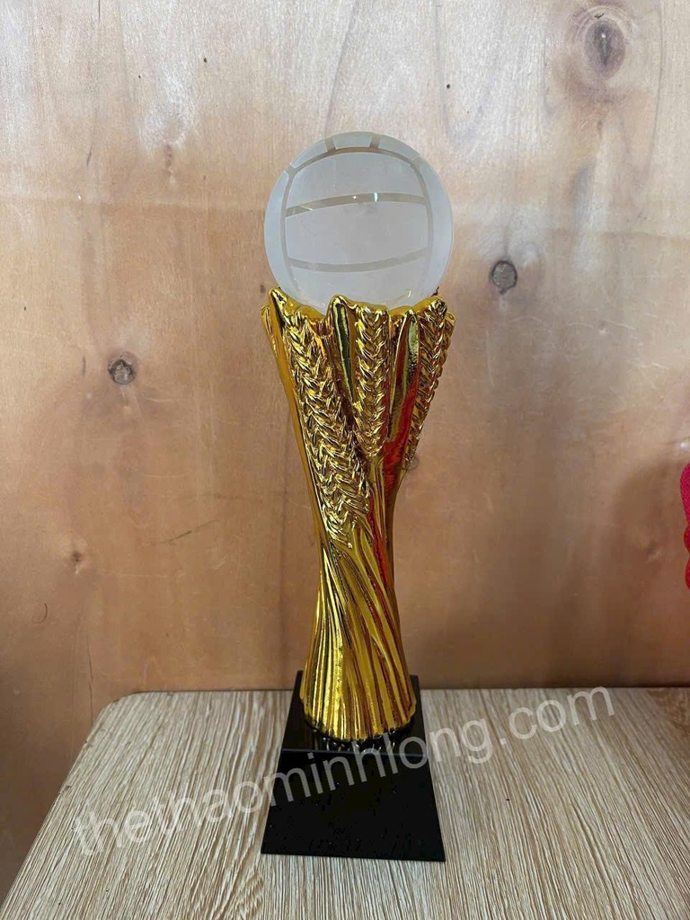 cúp hk288x bóng chuyền - mã ML3003 