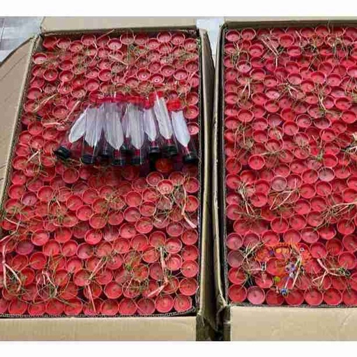 cầu đá 1 - mã ML0136