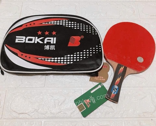 Vợt BB BK 3002 - mã ML0935 