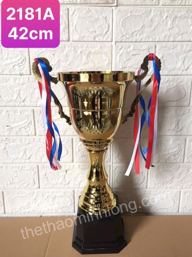 cúp 2181A - mã ML0206 