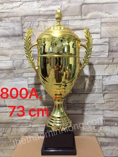 Cúp 800A - mã ML0483 